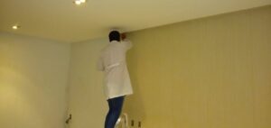 Onde estudar para Colocador de Papel de Parede?